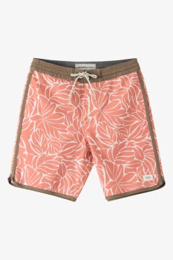 Boy's Cruzer Scallop 16