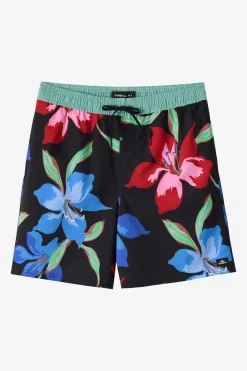 Boy's Hermosa Elastic Waist Lined 16