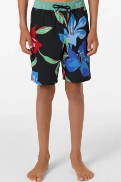 Boy's Hermosa Elastic Waist Lined 16