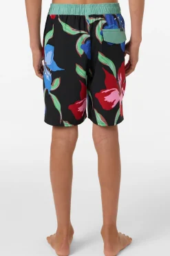 Boy's Hermosa Elastic Waist Lined 16
