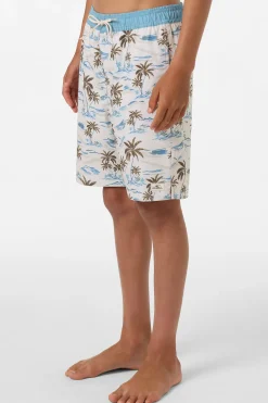 Boy's Hermosa Elastic Waist Lined 16