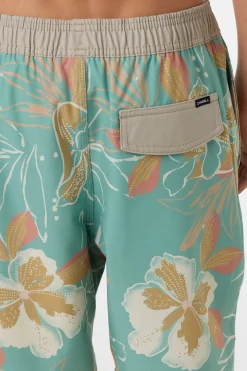 Boy's Hermosa Elastic Waist Lined 16