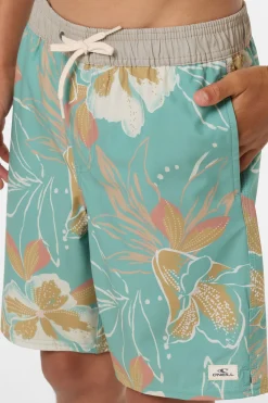 Boy's Hermosa Elastic Waist Lined 16
