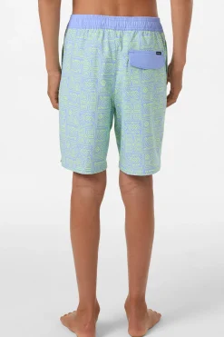 Boy's Hermosa Elastic Waist Lined 16" Swim Trunks