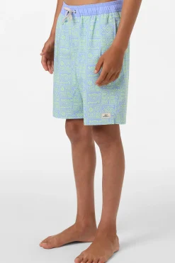 Boy's Hermosa Elastic Waist Lined 16