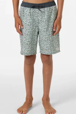 Boy's Hermosa Elastic Waist Lined 16