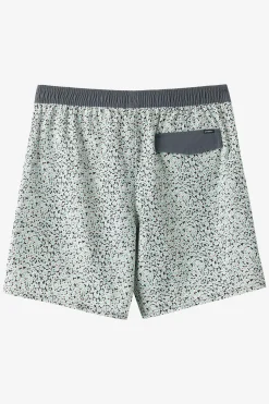 Boy's Hermosa Elastic Waist Lined 16