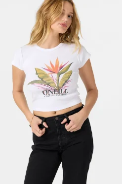 Costa Palms Tee