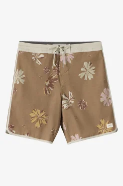 Cruzer Scallop 18