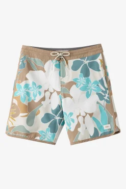 Cruzer Scallop 18