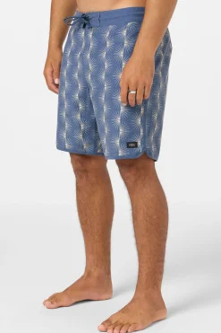 Cruzer Scallop 18