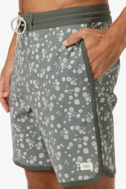 Cruzer Scallop 18" Boardshorts