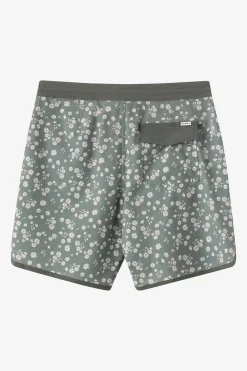 Cruzer Scallop 18