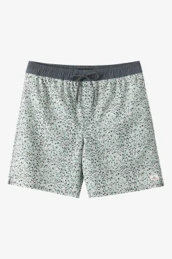Hermosa Elastic Waist Lined 17" Swim Trunks