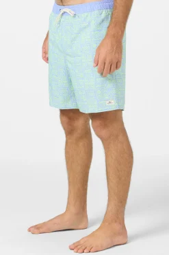 Hermosa Elastic Waist Lined 17" Swim Trunks
