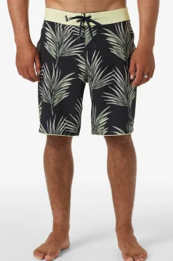 Hyperfreak Mysto Scallop 19