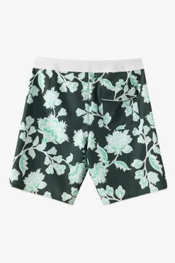 Hyperfreak Mysto Scallop 19