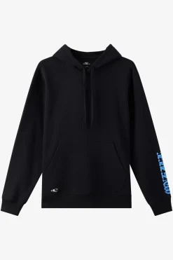 Isolate Classic Hoodie Pullover Fleece