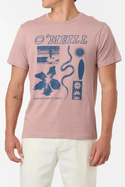 Kitchen Sink Classic Tee Tee