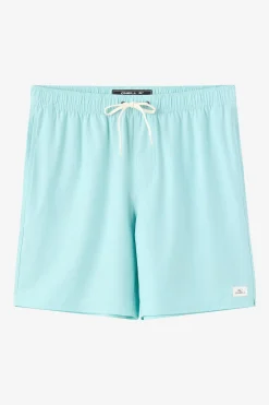 Lennox Hermosa Solid Volley 17" Swim Trunks