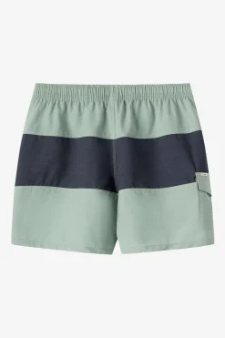 O'Riginals Midway Elastic Waist 16" Swim Trunks